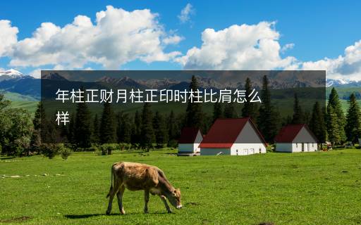 年柱正財(cái)月柱正印時(shí)柱比肩怎么樣