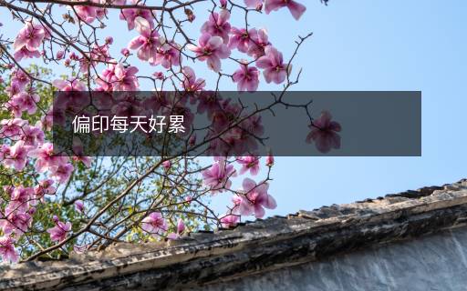 偏印每天好累