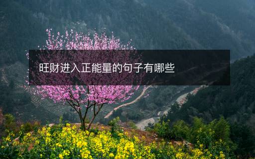 旺財進入正能量的句子有哪些