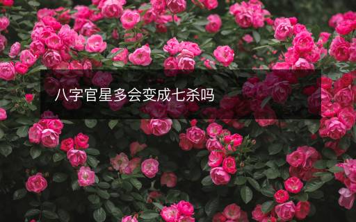 八字官星多會變成七殺嗎