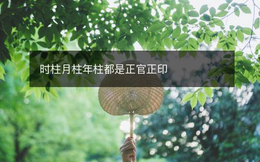時(shí)柱月柱年柱都是正官正印