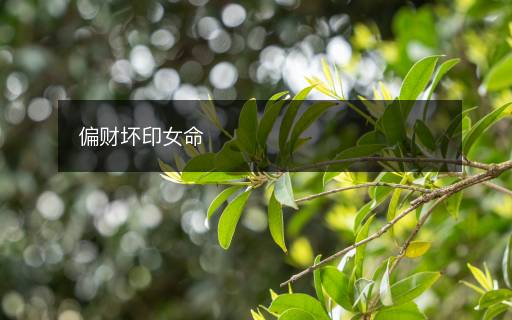 偏財壞印女命