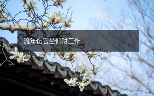 流年傷官坐偏財工作