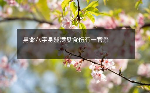 男命八字身弱滿盤食傷有一官殺