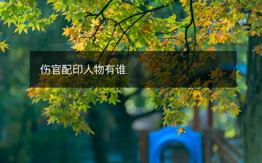 傷官配印人物有誰