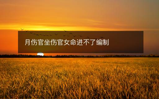 月傷官坐傷官女命進(jìn)不了編制