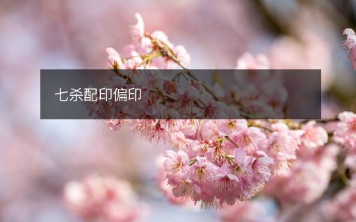 七殺配印偏印