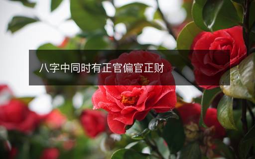 八字中同時(shí)有正官偏官正財(cái)