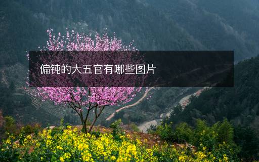 偏鈍的大五官有哪些圖片