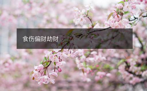 食傷偏財(cái)劫財(cái)