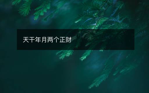 天干年月兩個正財