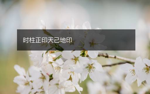 時(shí)柱正印天己地印