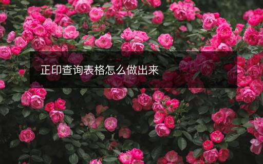 正印查詢表格怎么做出來