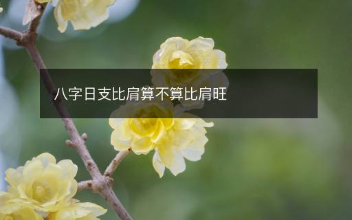 八字日支比肩算不算比肩旺