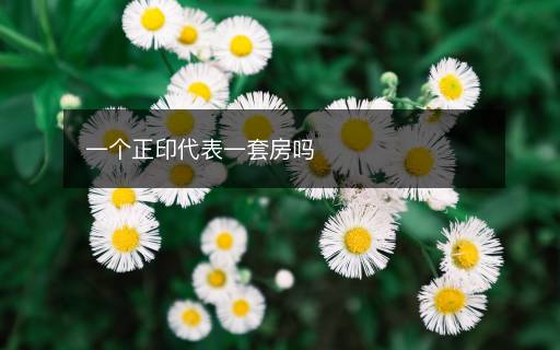 一個正印代表一套房嗎