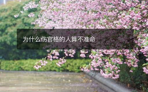 為什么傷官格的人算不準(zhǔn)命