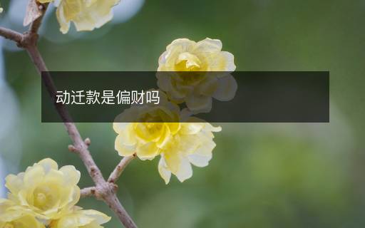 動(dòng)遷款是偏財(cái)嗎