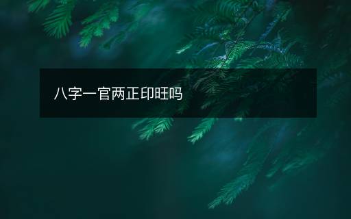 八字一官兩正印旺嗎