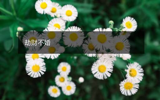 劫財不婚