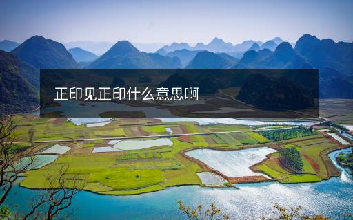 正印見(jiàn)正印什么意思啊