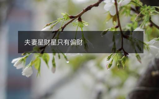 夫妻星財星只有偏財