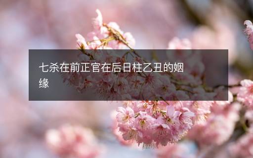 七殺在前正官在后日柱乙丑的姻緣