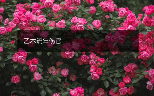 乙木流年傷官