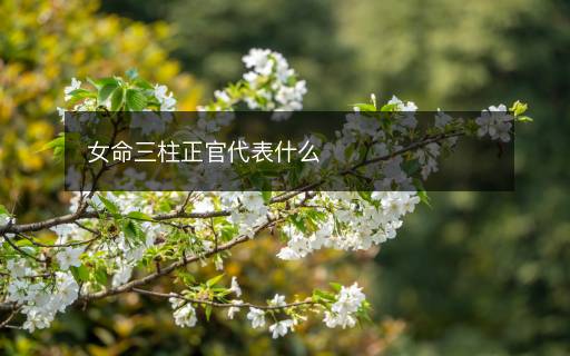 女命三柱正官代表什么