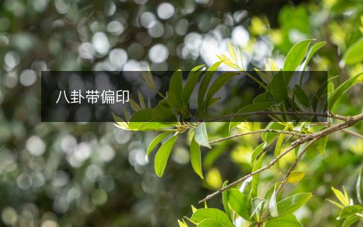 八卦帶偏印