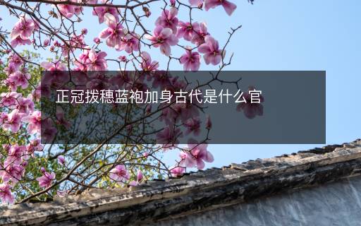 正冠撥穗藍(lán)袍加身古代是什么官
