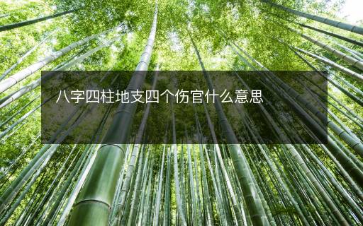 八字四柱地支四個(gè)傷官什么意思