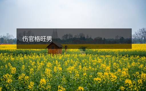 傷官格旺男