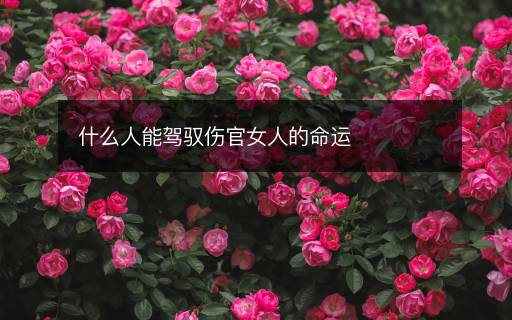 什么人能駕馭傷官女人的命運(yùn)