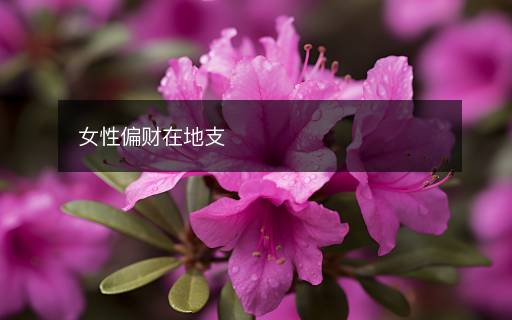 女性偏財(cái)在地支
