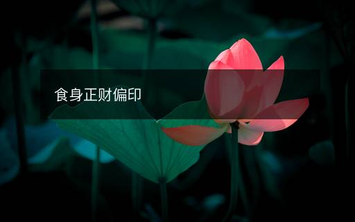 食身正財(cái)偏印