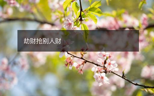 劫財搶別人財