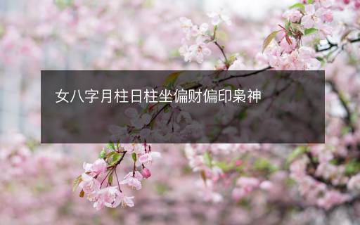 女八字月柱日柱坐偏財(cái)偏印梟神