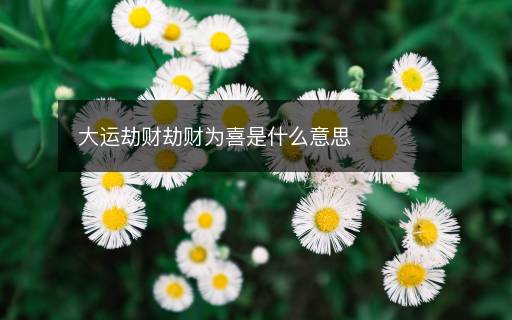 大運(yùn)劫財(cái)劫財(cái)為喜是什么意思