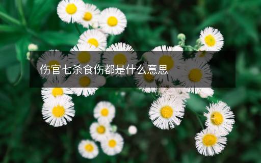 傷官七殺食傷都是什么意思