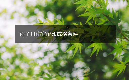 丙子日傷官配印成格條件