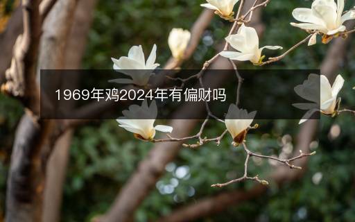 1969年雞2024年有偏財(cái)嗎