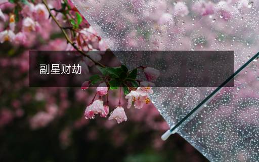 副星財(cái)劫