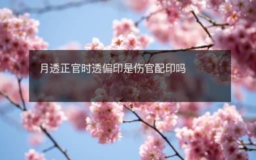 月透正官時(shí)透偏印是傷官配印嗎