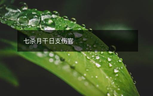 七殺月干日支傷官