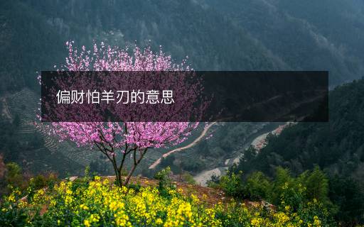 偏財怕羊刃的意思