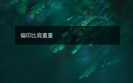 偏印比肩重重