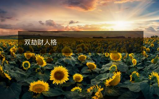 雙劫財(cái)人格