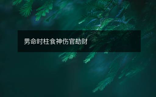 男命時(shí)柱食神傷官劫財(cái)