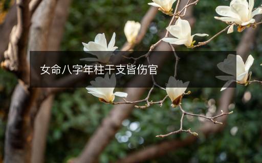 女命八字年柱干支皆傷官
