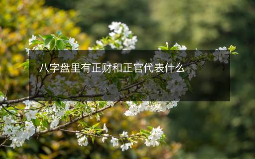 八字盤里有正財和正官代表什么